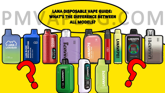 LANA Disposable Vape Guide 2026