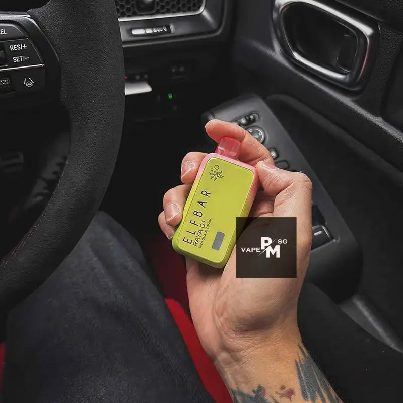 ELFBAR-RAYA-D1-13000-DISPOSABLE-FLAVOUR-SINGAPORE-PMVAPESG